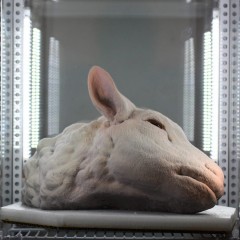 IMG_20260117_171953_288